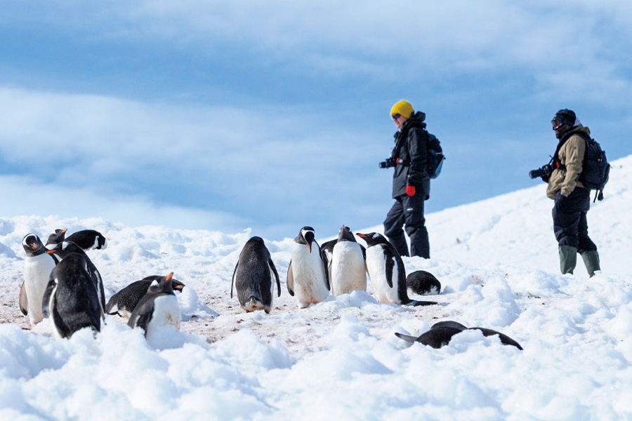 2026-0622-Antarctica – Emperors & Snow Hill Island – Helicopters-image-01