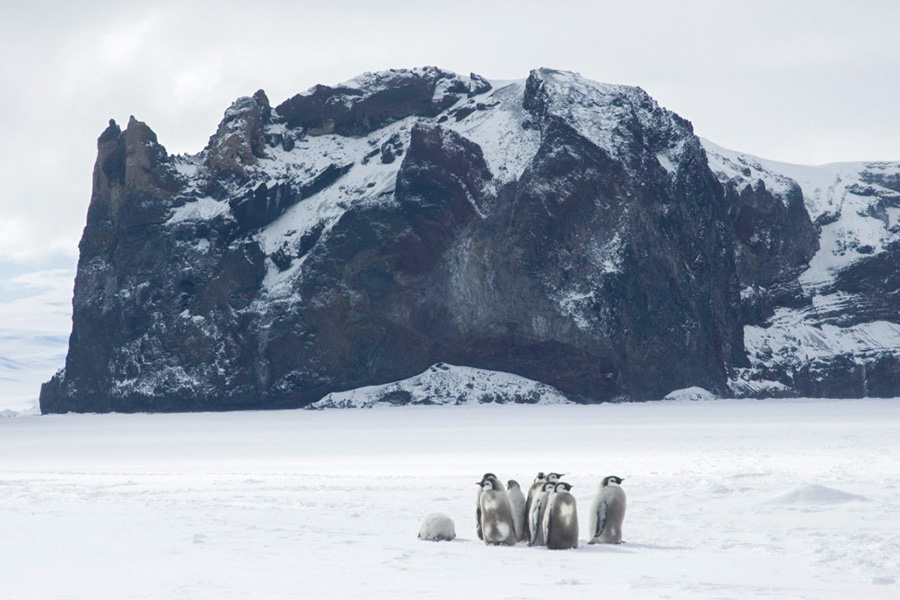 2026-0622-Antarctica – Emperors & Snow Hill Island – Helicopters-image-05