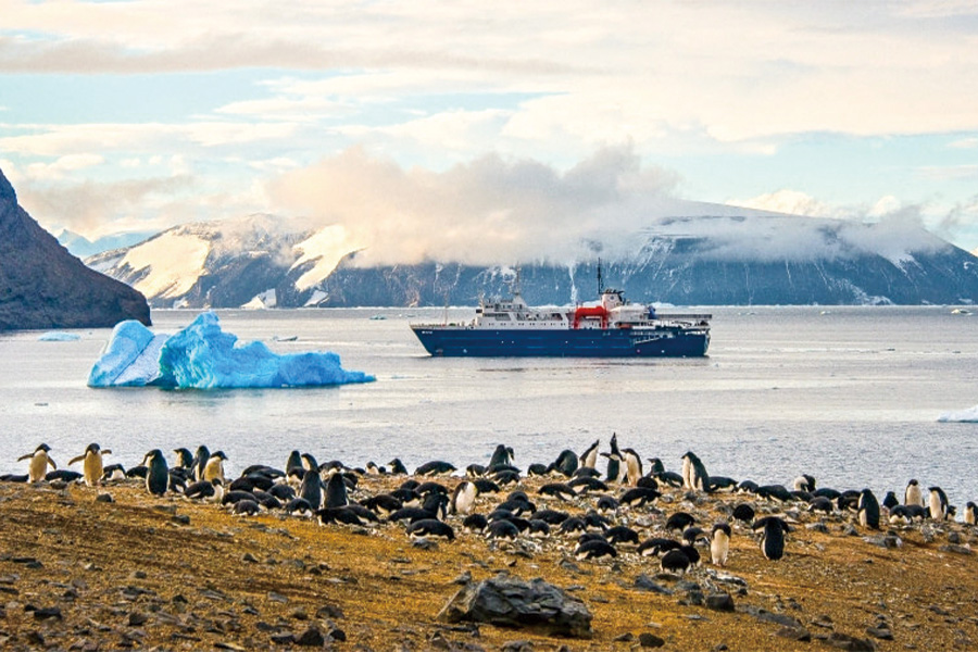 2026-0622-Antarctica – Emperors & Snow Hill Island – Helicopters-image-17