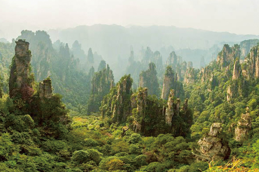 2026-0703-Zhangjiajie-The World’s Most Wonderous Mountain-image-47