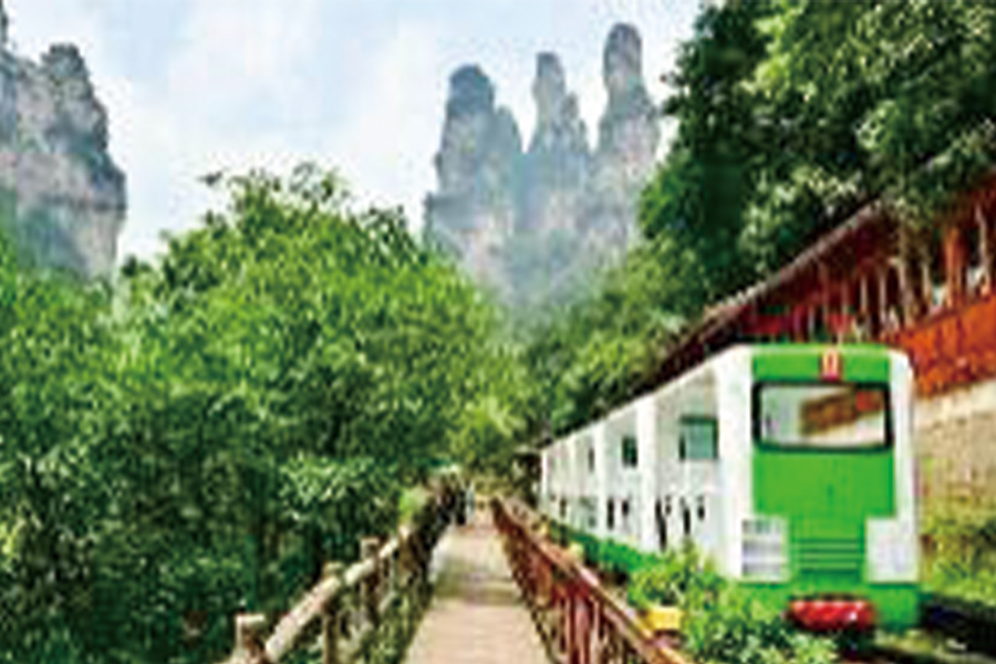 2026-0703-Zhangjiajie-The World’s Most Wonderous Mountain-image-51