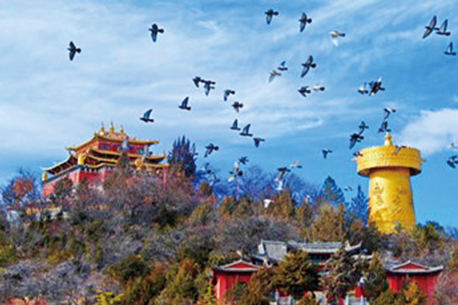 2026-0723-china-Meet Yourself in Shangri-La-image-19