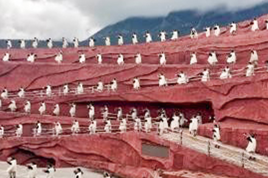 2026-0723-china-Meet Yourself in Shangri-La-image-29