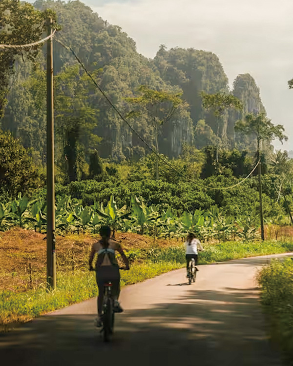 2026-1014-belmond-Wild Malaysia-image-4