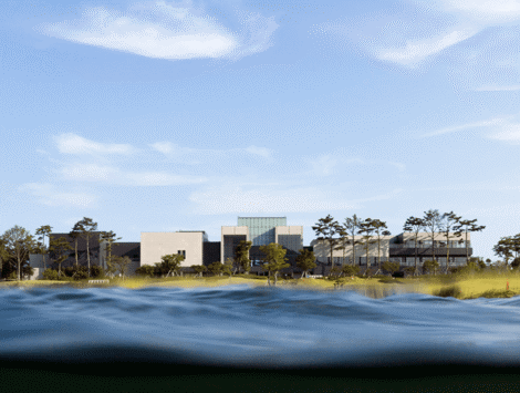 bayside-new-main_sec-11