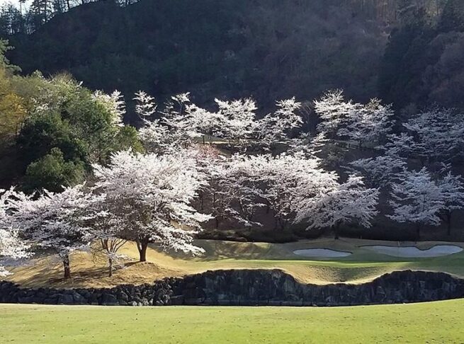 nishitokyogolf3